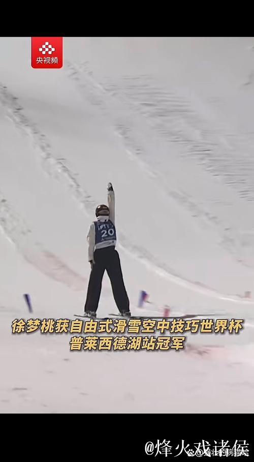 自由式滑雪空中技巧世界杯普莱西德湖站:王心迪夺冠 徐梦桃摘银 自由式滑雪空中技巧世界杯普莱西德湖站:王心迪夺冠 徐梦桃摘银