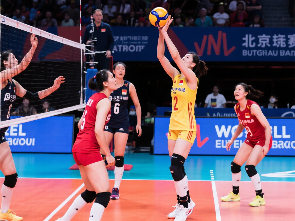 杯投注中实 杯投注中实